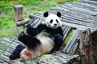 �������ȥ�����ˡ���֪�����ȥ�������Գ������ӡ� ������ �� ͼƬ��Դ����������