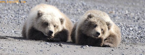 ��������˹���ݰ���˹���ظ۸����Ŀ����˺����ҹ�԰����ֻС�������ں�̲�����ִ�