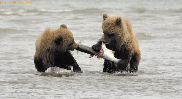 �����ô�ĸ������ѧ���ı��죬�Ӻ��в������㣬��һ�����