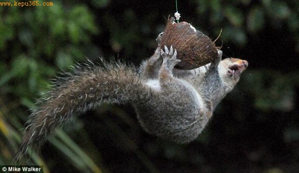 ��ֻ���ݶ��������������͡�