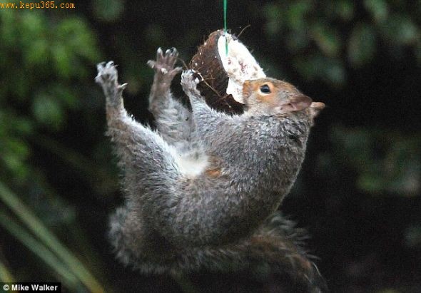 ��Ϊʤ���ߣ���ֻ����Ե�����ζ�ɿڵ�Ҭ�ӡ�