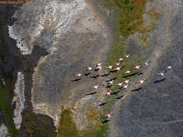  �����������������