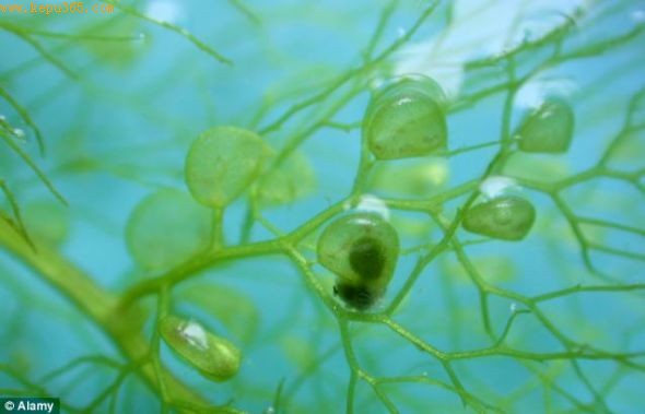 ȫ���繲��Լ220��������ֲ���Ƭ�е������Ȼ�Ѿ��������Լ������