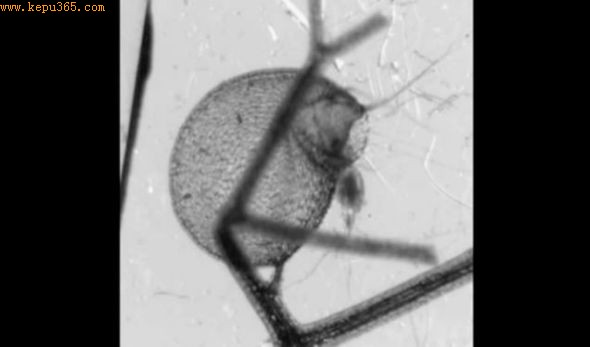 ���忪ʼ�ж�