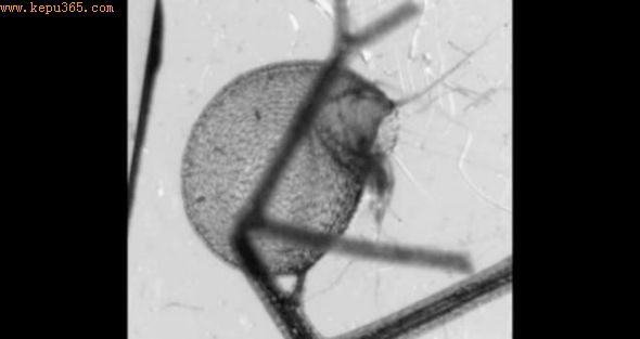 ��ˮ˲�䣬����1����֮������ͽ�����������