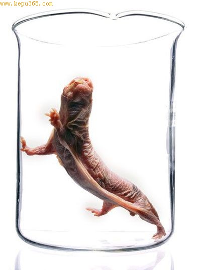 ����������1984���������˽ڵĶ���������⡣