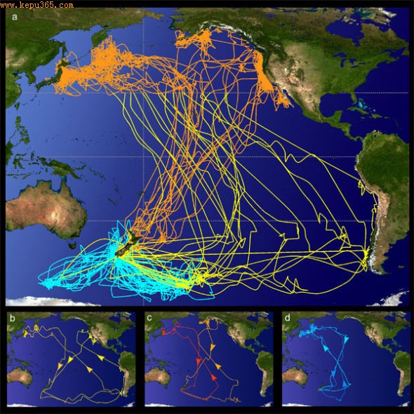 ���׵ĳ�;����