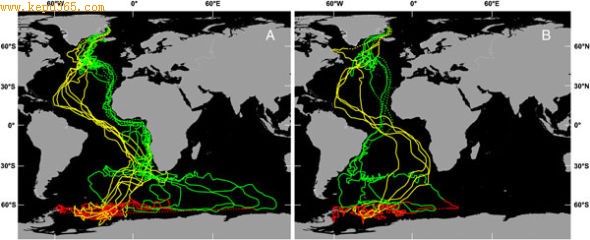 ������Ÿ����������ó�