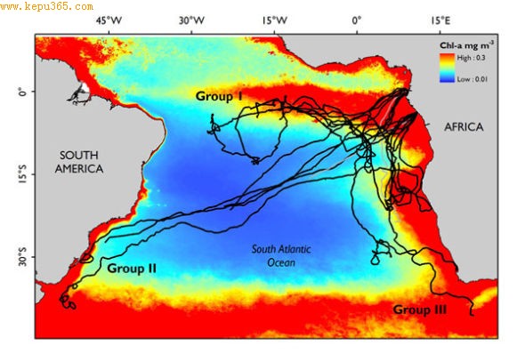 ������ó�