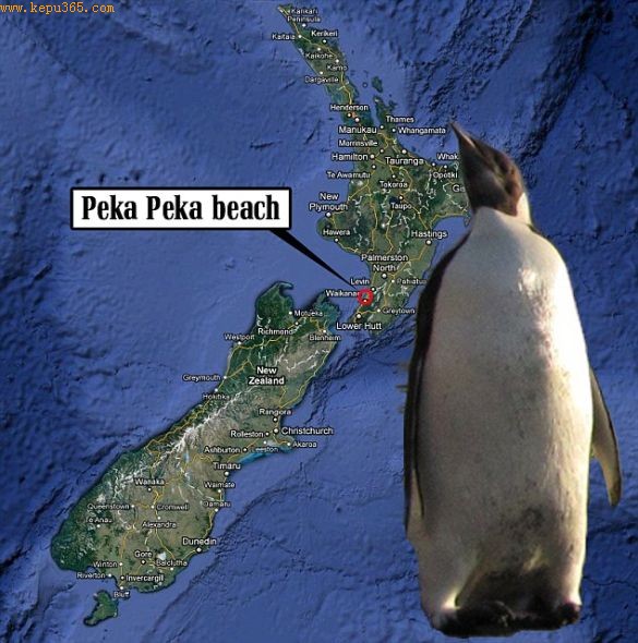 �ϼ��޵�һ�������Ⱥ���ϼ��Ǻܶද��Ⱥ��ļ�԰