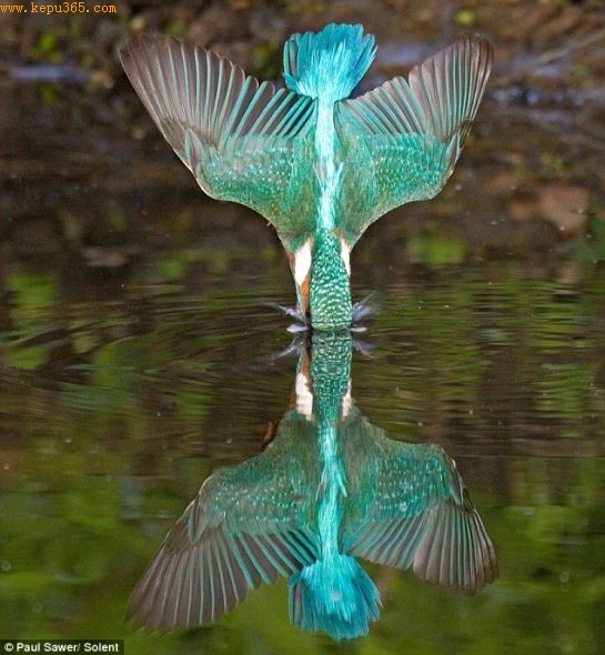 ��Ӱ���ڰ����ºӣ�������ˮʱ��ˮ�����γ���һ�������ĵ�Ӱ��