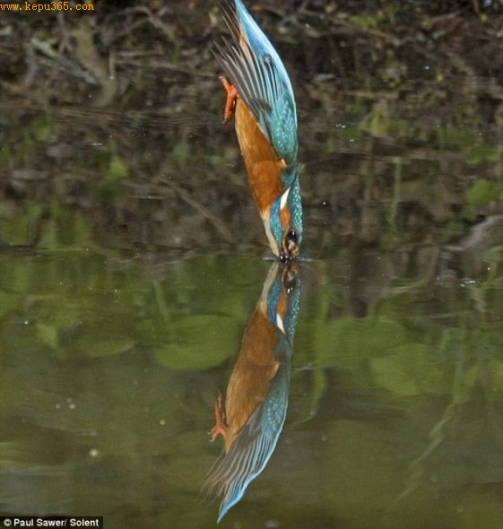 ��ˮ������Ǳ�밣���º������ֶ�׼���Ĳ���ˮ���С�