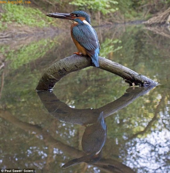 �غ�Ϊ�����㵽�����е�����������Ƭ�����ֶ����غ���150Сʱ��