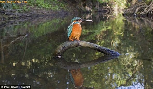 ���᣺���������Ҫһ������������Ӱʦ��������������ᡣ