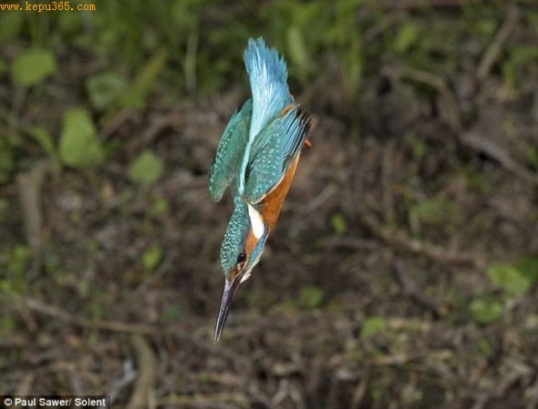 ���壺���ֶ����������ͷ��׽������ˮ�������̵�ÿһ��������