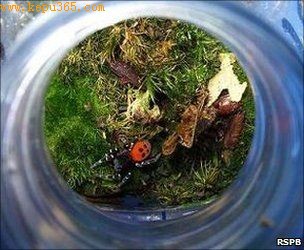 ���ǽ�֩��Ž��յĿ�Ȫˮƿ�����Щƿ��������������ʯ�ϻ���̦޺���о���Ա����Ϊ��Щ��ƿ�ӵĳߴ����״���ǳ��ʺϸ���Щ֩���ǵ����¼�ʹ��