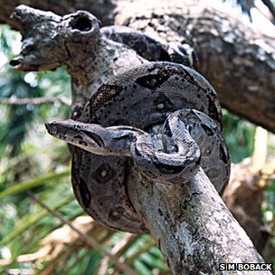 ���������������ʹ������Ϣ��׼ȷʱ��