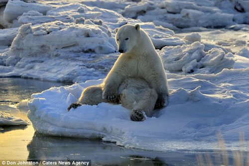 �����ű����������������������Լ���צ��